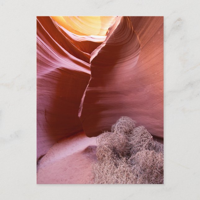 Postal Cañón de muchos colores (Anverso)