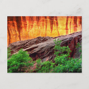 Postal Cañón de neón de Escalante y follaje   Utah