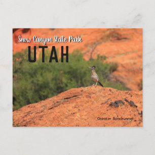 Postal Cañón de nieve Roadrunner Utah