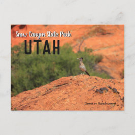 Postal Cañón de nieve Roadrunner Utah