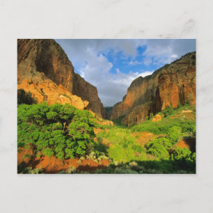 Postal Cañón Kolob en Zion Canyon en Zion National