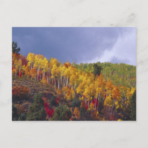 Postal Cañón Logan en Utah en otoño con paso