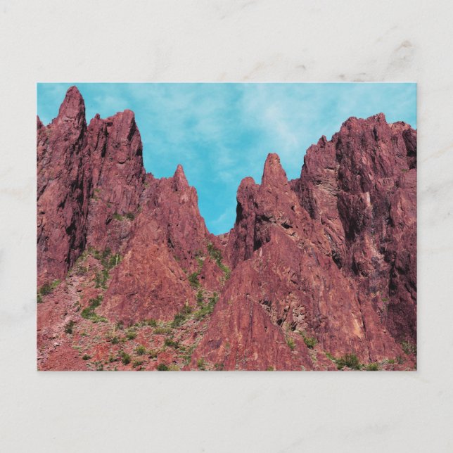 Postal Cañón Palm Arizona (Anverso)