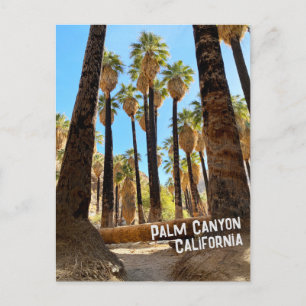 Postal Cañón Palm California