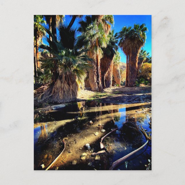 Postal Cañón Palm California (Anverso)