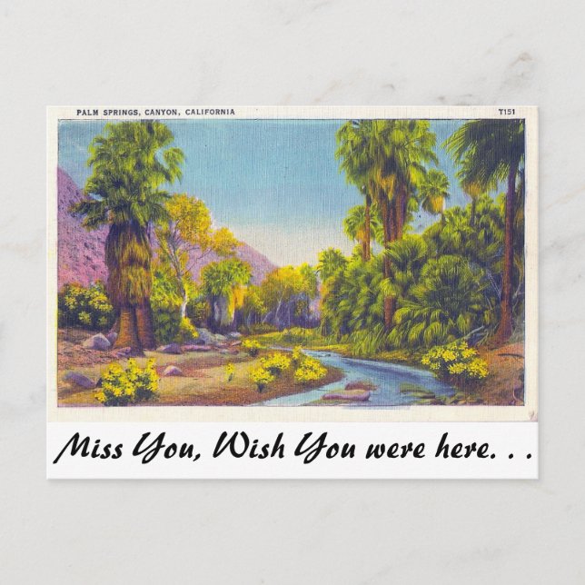 Postal Cañón Palm Springs, California (Anverso)