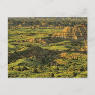 Postal Cañón pintado tras tormenta en Theodore Roosevelt