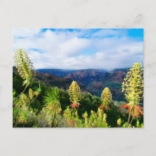 Postal Cañón Waimea   Kauai, Hawaii