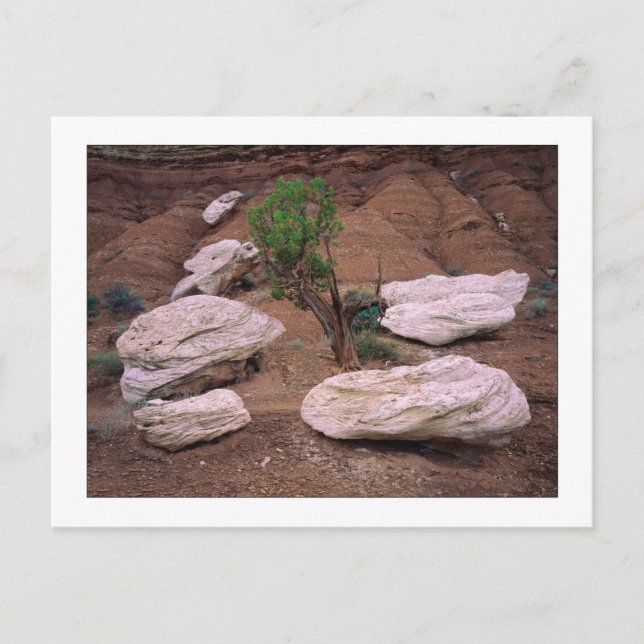 Postal "Cañones" (Anverso)