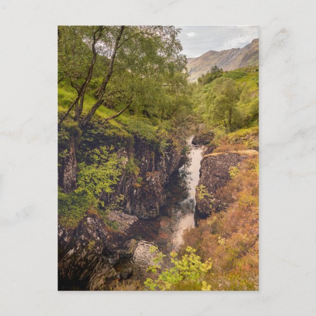 Postal Cañones del río Coe (Anverso)