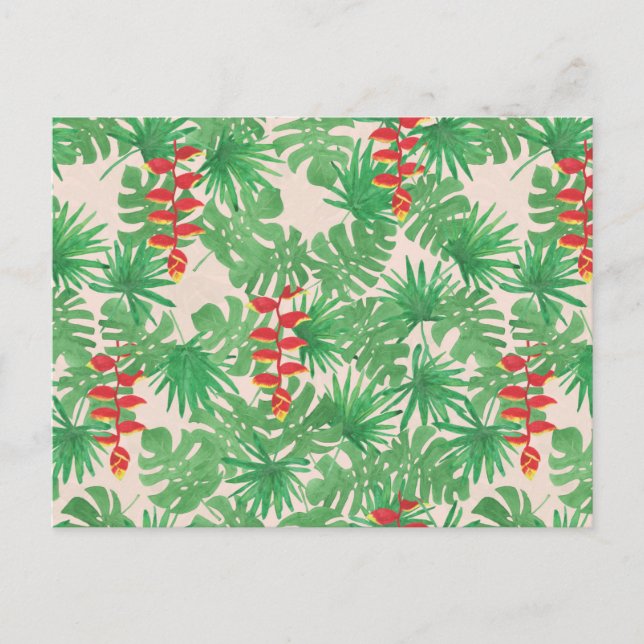 Postal Canopia tropical (Anverso)