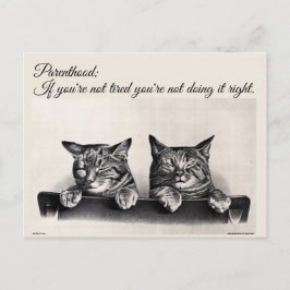 Postal Cansarse y ser padre, gatos somnolientos