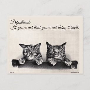 Postal Cansarse y ser padre, gatos somnolientos
