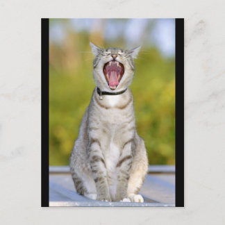 Postal Cantando Gato