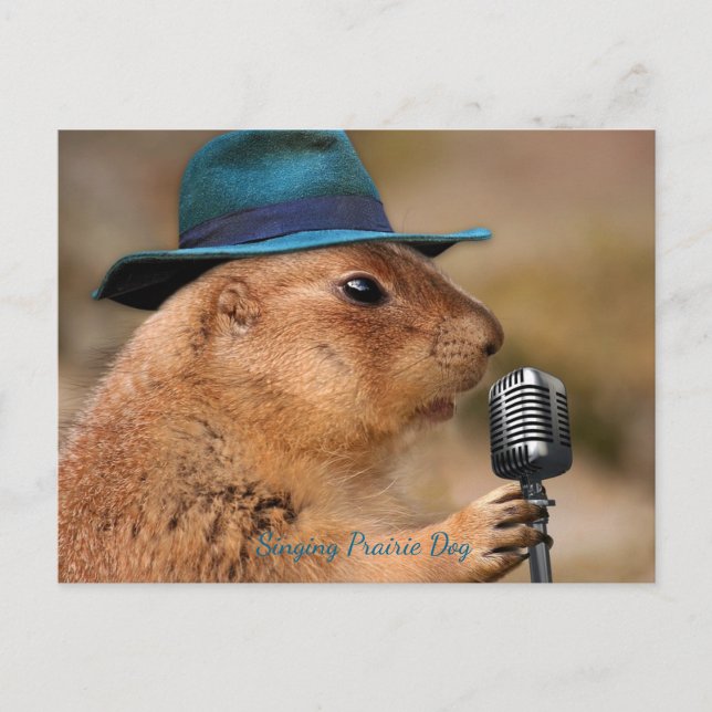 Postal Canto Prairie Dog (Anverso)