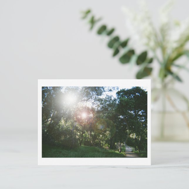 Postal Canyon Trail (Anverso de pie)