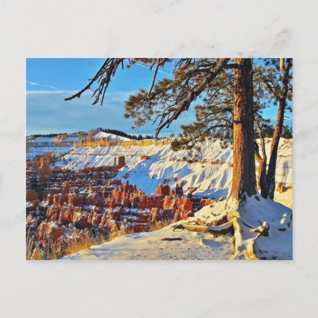 Postal Canyon Winter Snow Pine Trees Utah (Anverso)