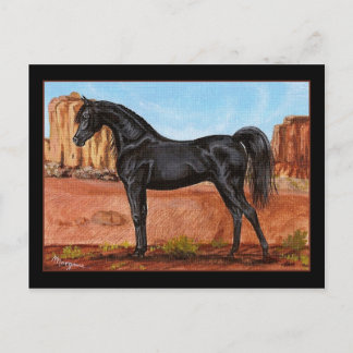 Postal Canyon Wonder Postcard árabe