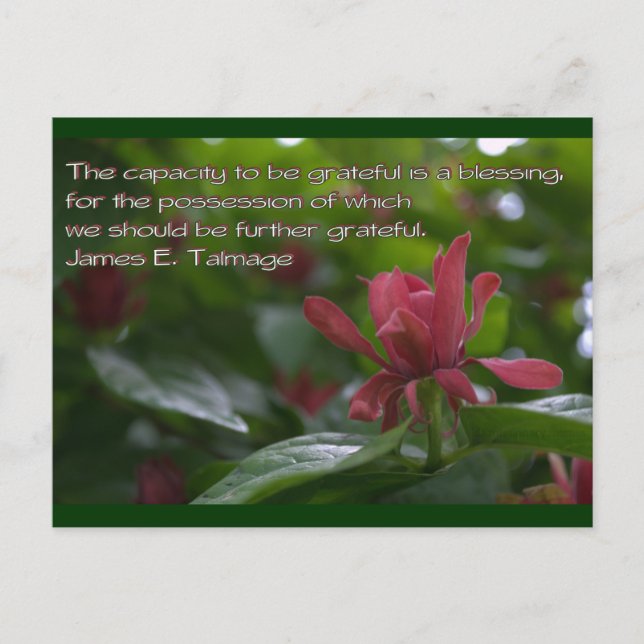 Postal capacidad de estar agradecido (Anverso)