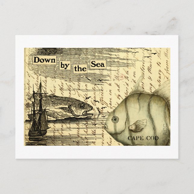Postal Cape Cod (Anverso)