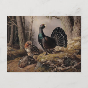 Postal Capercaillies Courting por Ferdinand von Wright
