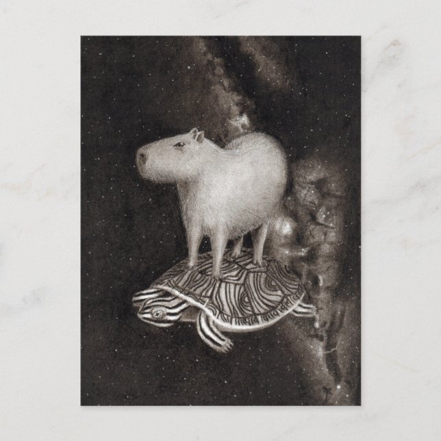 Postal Capibara y Terrapin sobrevolando el plano espacial (Anverso)