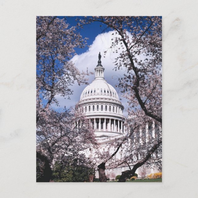 Postal Capitolio de los Estados Unidos con flores de cere (Anverso)