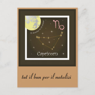 Postal Capricorn 22 de diciembre fin 20 schaner Postkarte