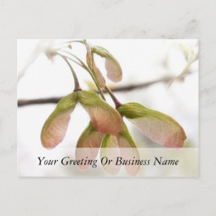 Postal Cápsulas de semillas de arce aladas