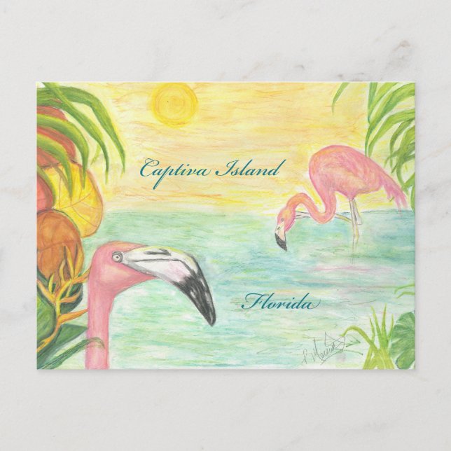 Postal Captiva Island Flamingos Florida Art (Anverso)