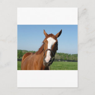 Postal Captura de pantalla de Rags to Riches