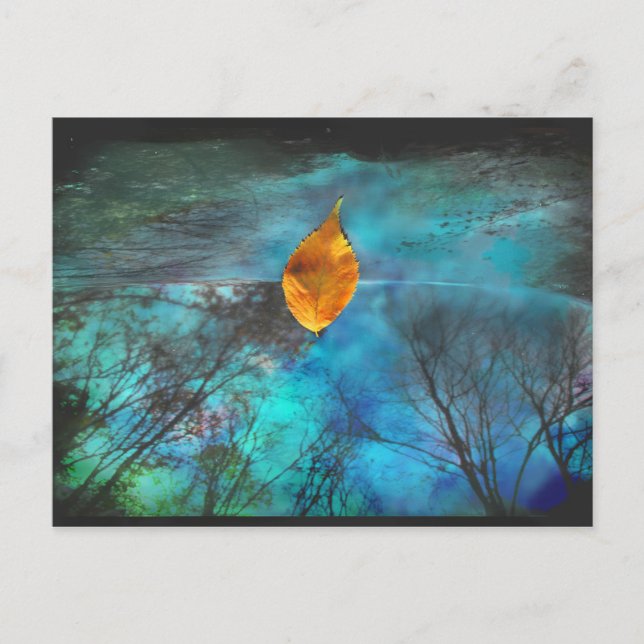 Postal Capucha del coche (Anverso)