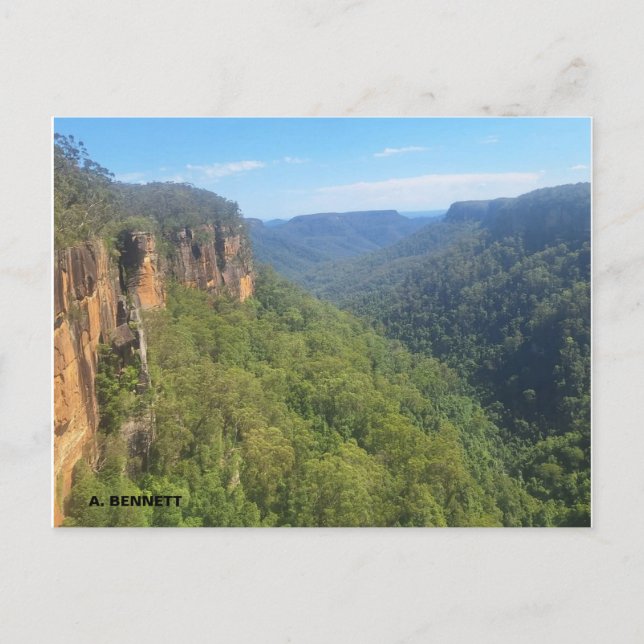 Postal Cara de belleza (Anverso)