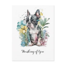 Cara de "Boston" en reposo Gafas de cachorro Bosto