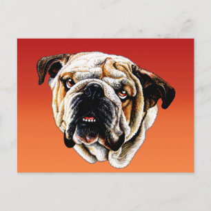 Postal Cara de Bulldog pintada