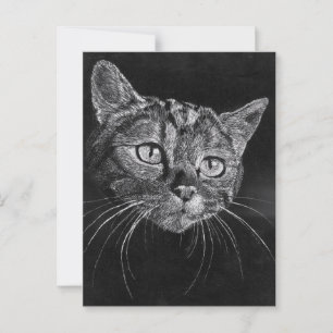 Postal Cara de Gato