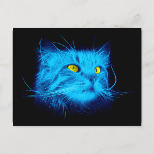 Postal Cara de gato azul