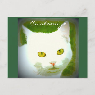 Postal Cara de gato blanco