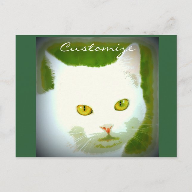 Postal Cara de gato blanco (Anverso)