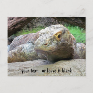 Postal Cara de Komodo Dragon con tu texto