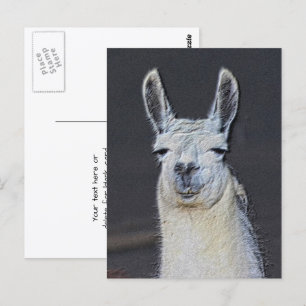 Postal Cara de Llama Arte Animal Personalizado