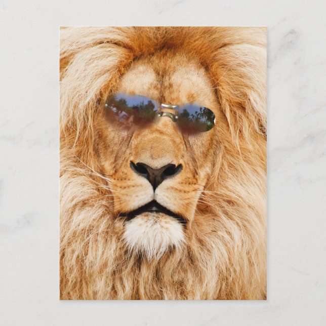 Postal Cara de los leones de Guay (Anverso)