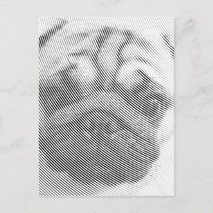 Postal Cara de Pug