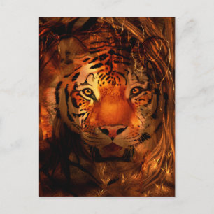 Postal Cara de tigre