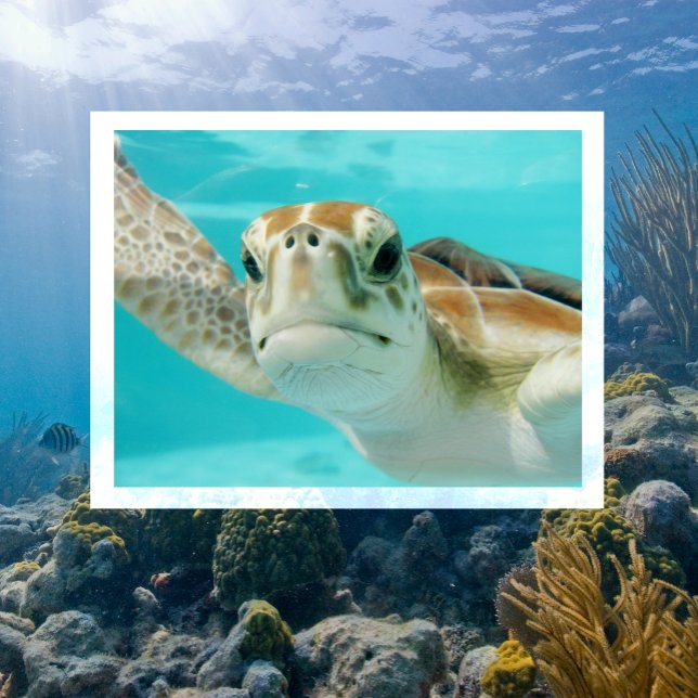 Postal Cara de Tortuga Marina de Cerca en Agua Clara (Subido por el creador)