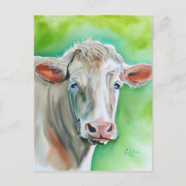 Postal Cara de vaca