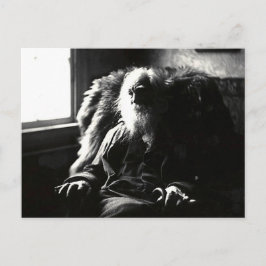 Postal "Cara siempre al sol" Mickle Street Camden