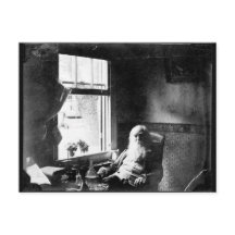 Cara siempre al sol: Whitman en la calle Mickle.