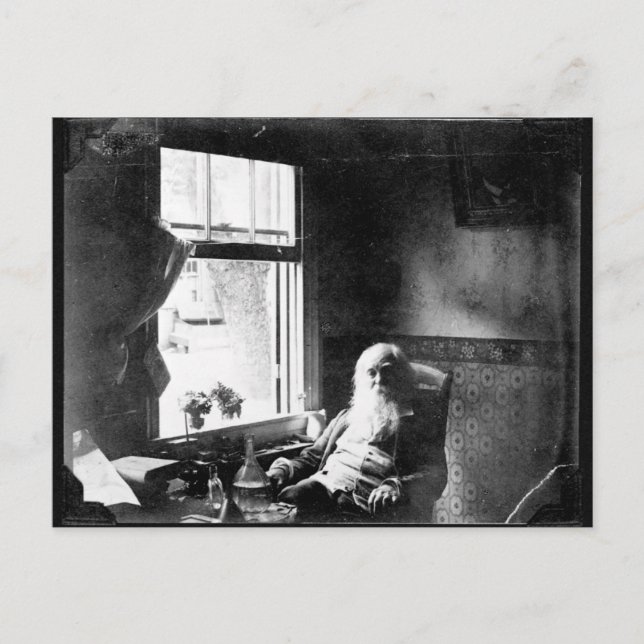 Postal Cara siempre al sol: Whitman en la calle Mickle. (Anverso)