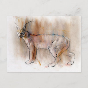 Postal Caracal árabe 2009